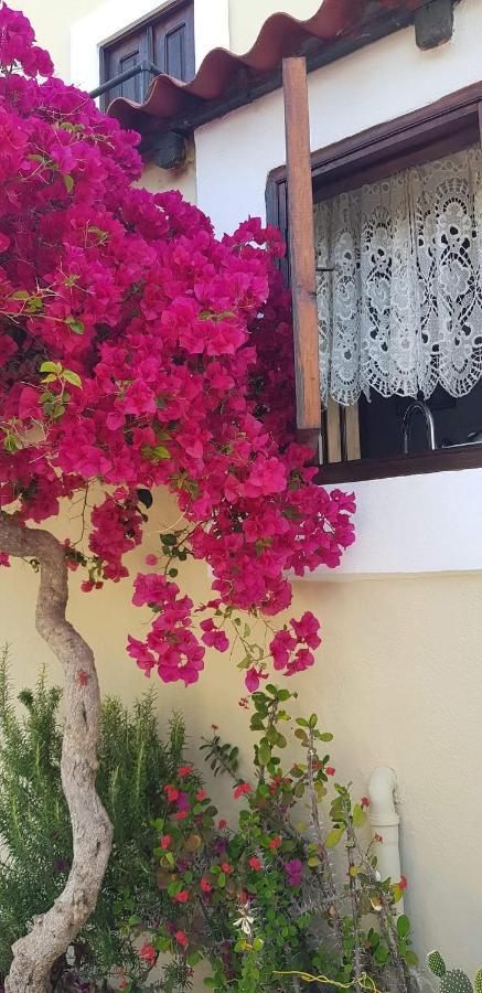 Yiayia'S Home Chalki Town Zewnętrze zdjęcie