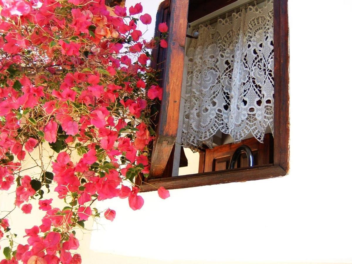 Yiayia'S Home Chalki Town Zewnętrze zdjęcie